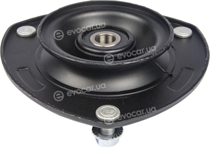 Raiso RC05295
