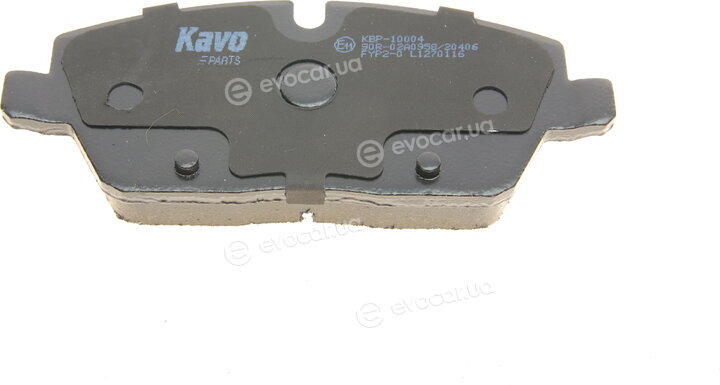 Kavo KBP-10004