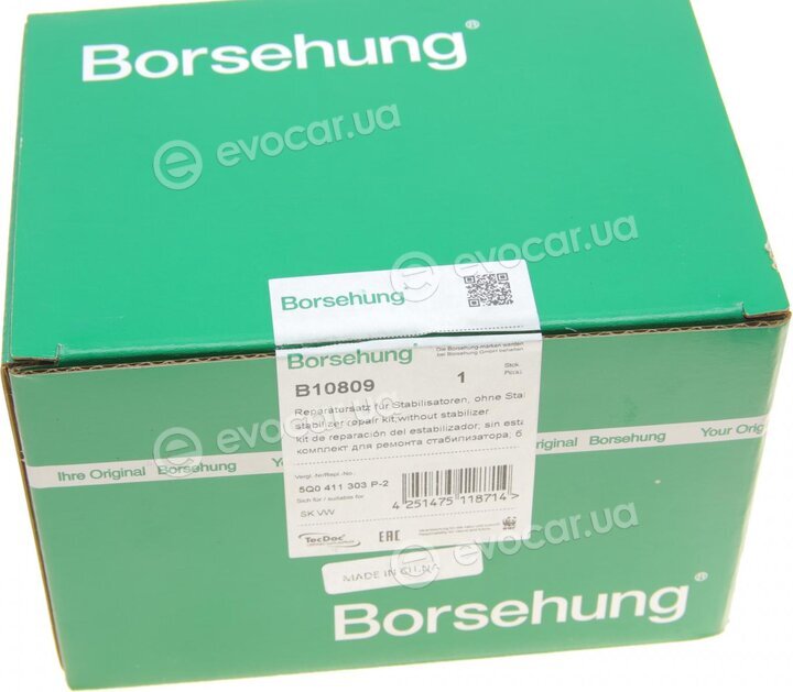 Borsehung B10809