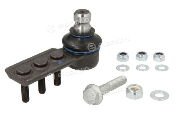 Reinhoch RH03-4019
