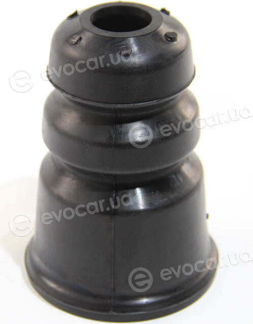 BC Guma 0267