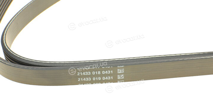 Dayco 5PK1815
