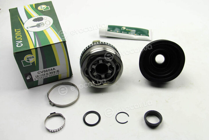 BGA CV5604A