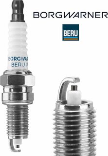 BorgWarner Z293
