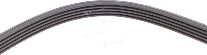 Continental 5PK1720