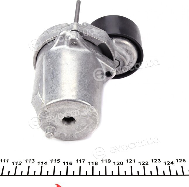 Hutchinson T0073
