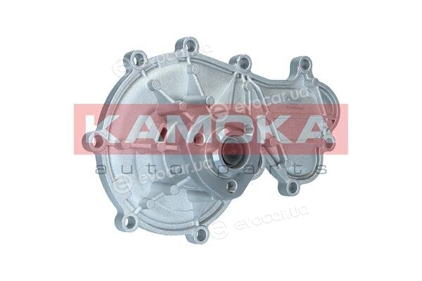 Kamoka T0317