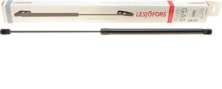 Lesjofors 8056831