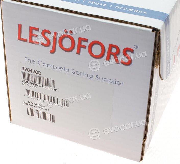 Lesjofors 4204208