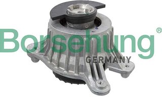Borsehung B12649