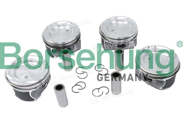 Borsehung B11149