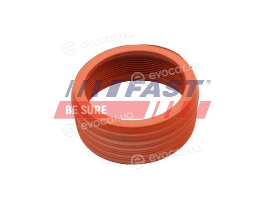 Fast FT48948