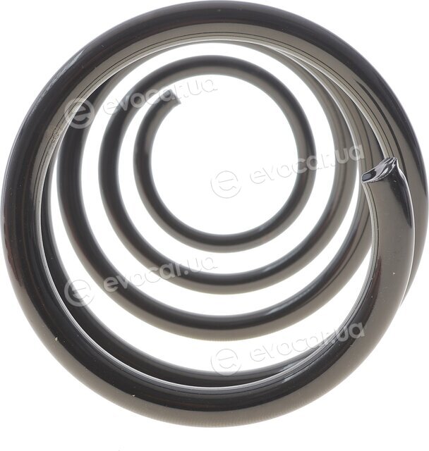 Solgy 212151