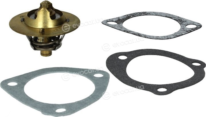Wahler / BorgWarner 3118.88D1