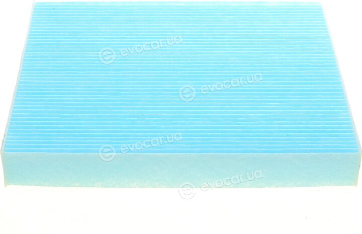 Blue Print ADG02563