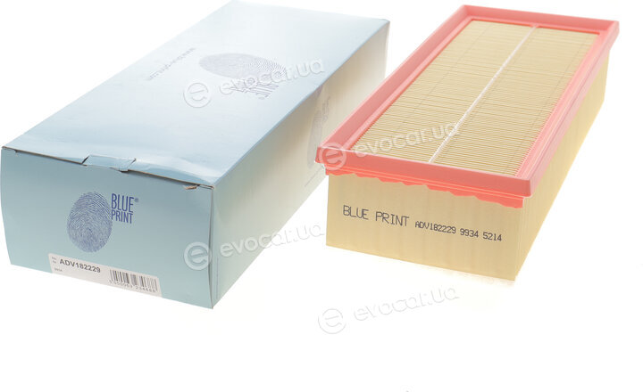 Blue Print ADV182229
