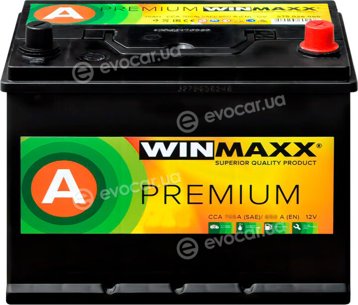 WinMaxx A-100-MP
