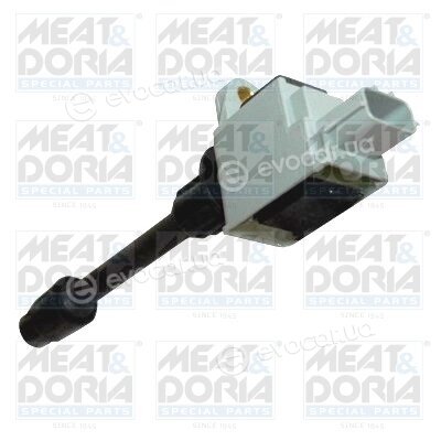 Meat & Doria 10726