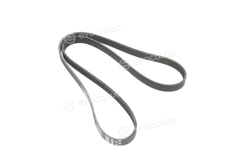 Gates 6PK1437EST