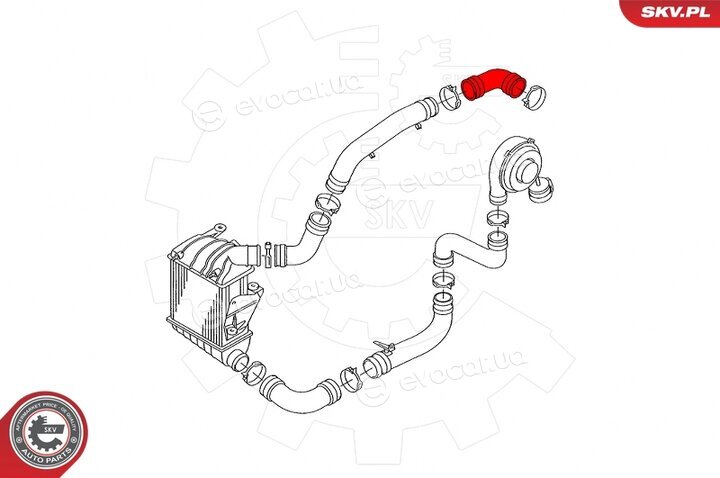 SKV 24SKV508