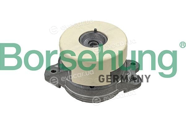 Borsehung B13039