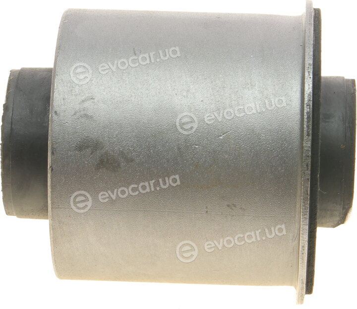 AIC 55019