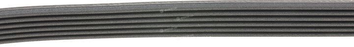 Continental 6PK1130