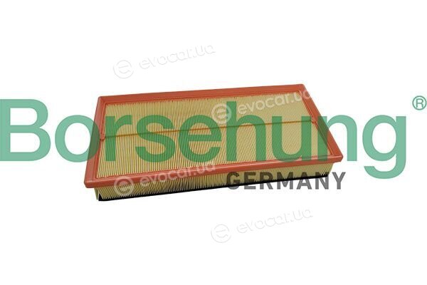 Borsehung B13066