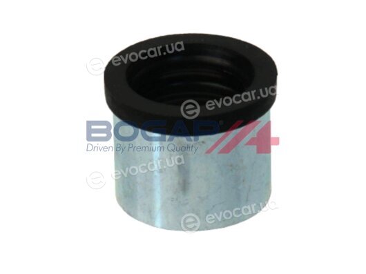 Bogap V1210103