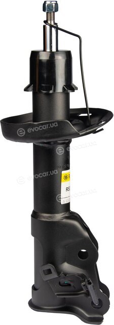 Raiso RS314619