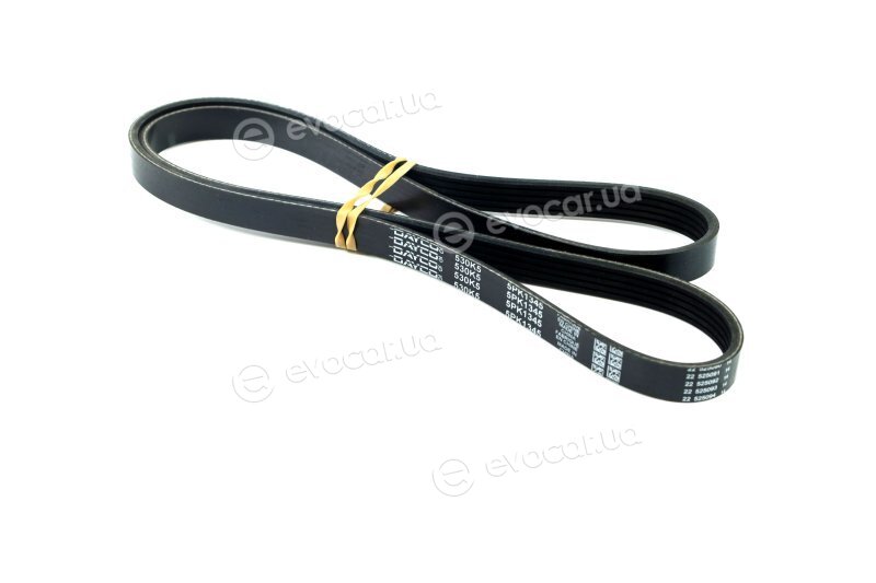 Dayco 5PK1345