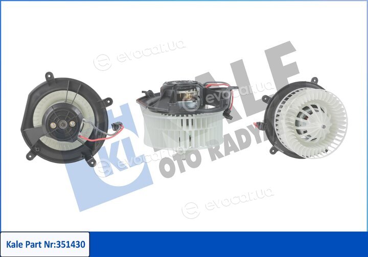 Kale 351430
