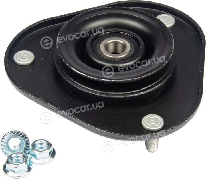 Raiso RC01009