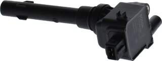 Bosch F 01R 00A 062