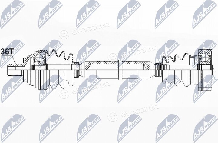 NTY NPW-VW-085