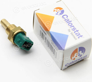 Vernet / Calorstat WS2585