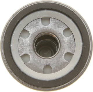 Mann W 6031