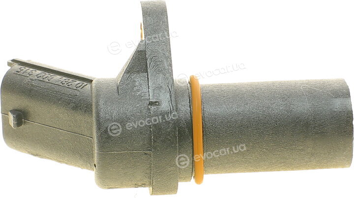 Bosch 0 281 002 315
