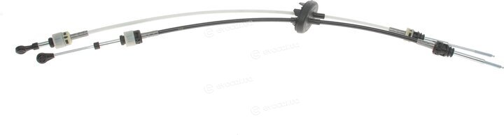 Solgy 119017
