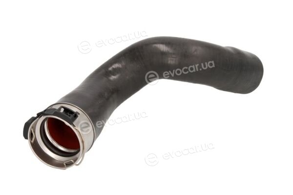 Thermotec DCR194TT