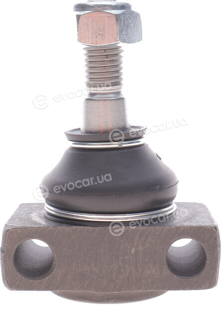 Solgy 203049