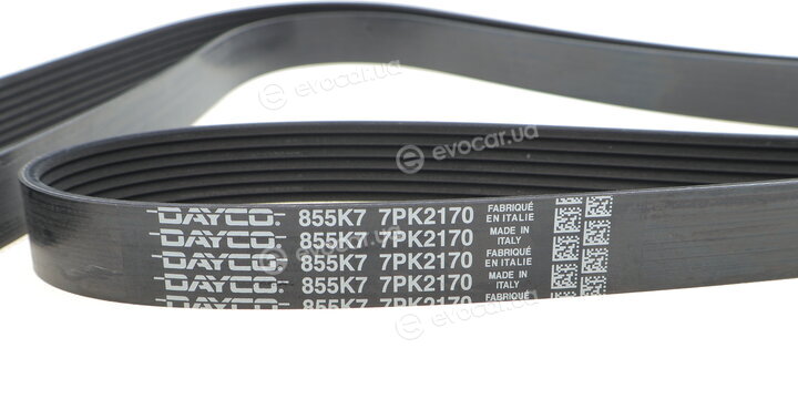 Dayco 7PK2170
