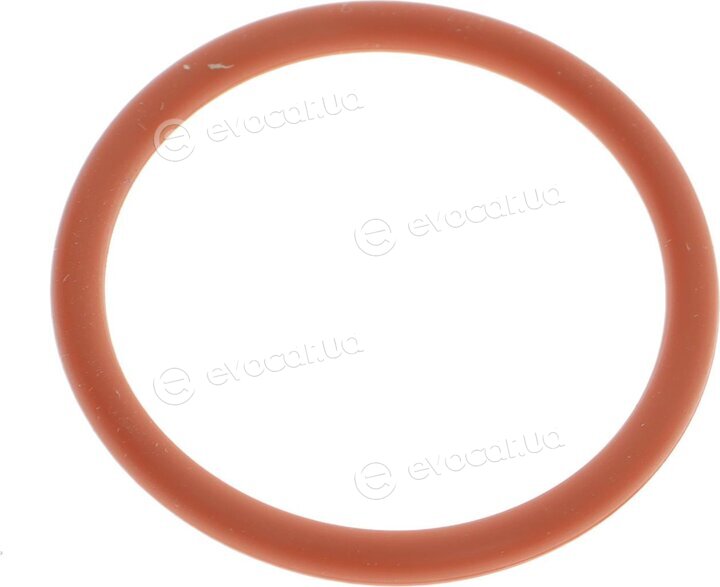 Elring 094.600