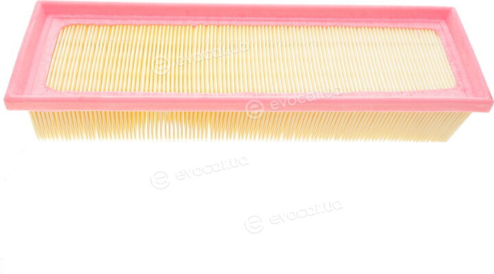 Solgy 103071