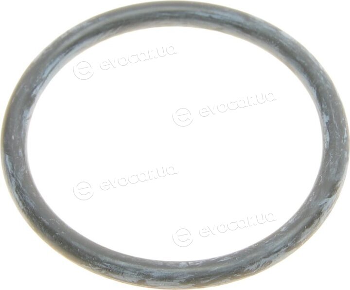Elring 522.190