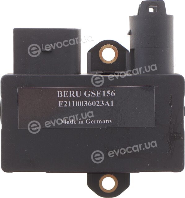 Beru GSE156