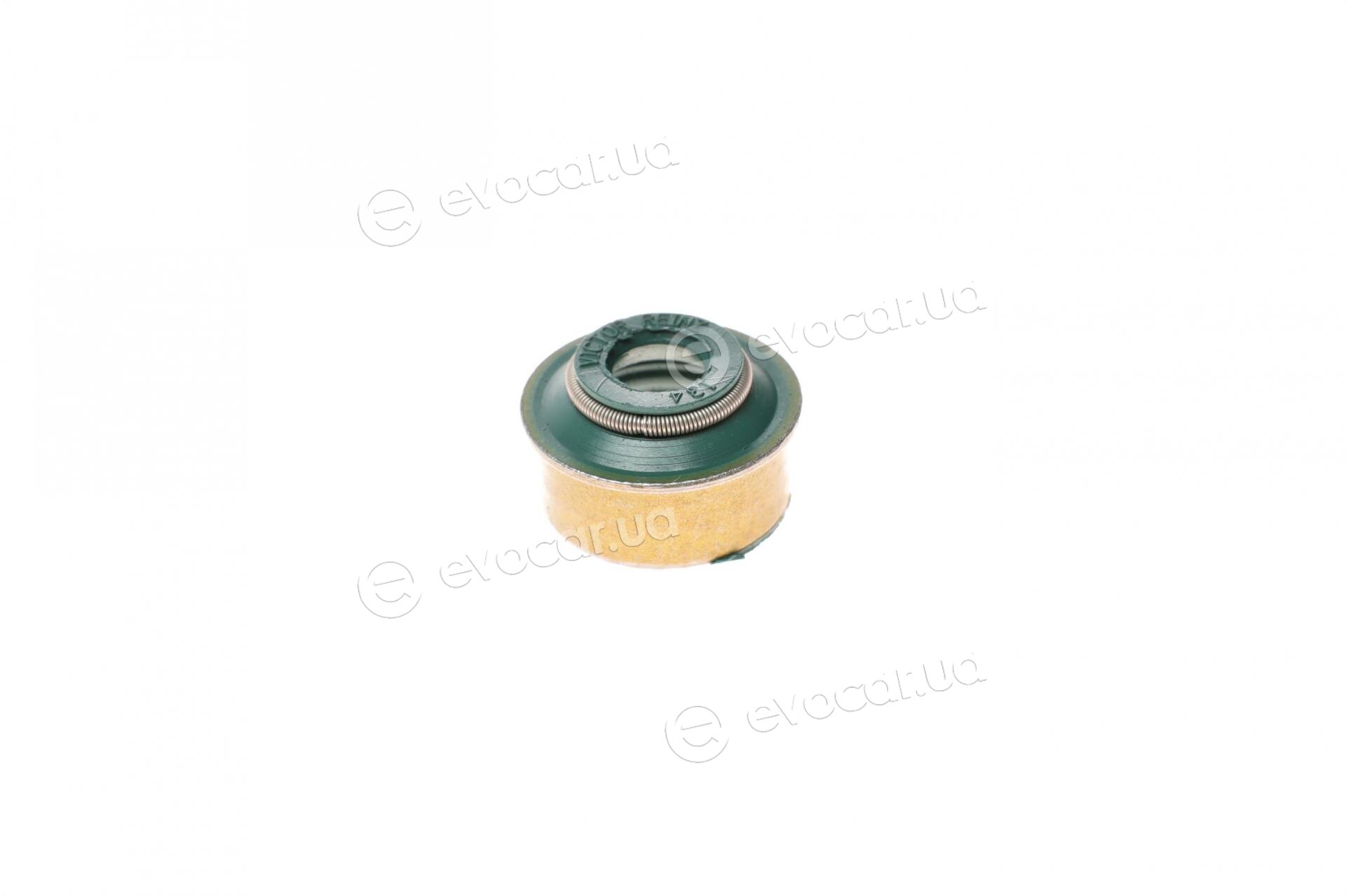 Victor Reinz 01-53300-02