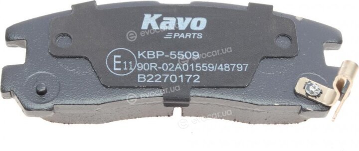 Kavo KBP-5509