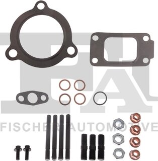 FA1 KT821510