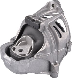 Tedgum TED78858
